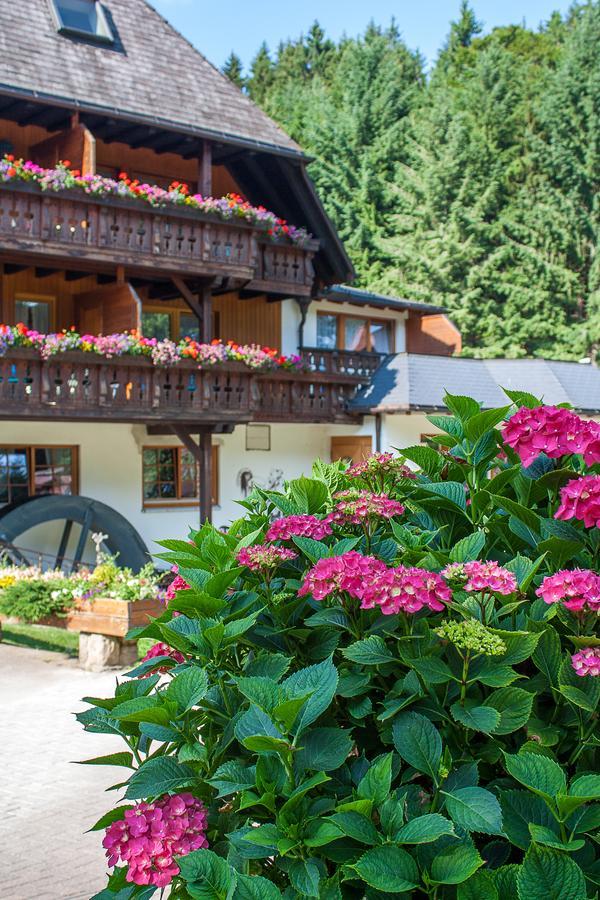 Hotel Tannenmuehle Grafenhausen Exteriör bild